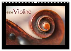 Cover eine Violine (Wandkalender 2026 DIN A3 quer), CALVENDO Monatskalender