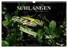 Schlangen (Wandkalender 2026 DIN A3... - Bild 1