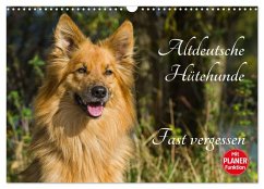 Cover Altdeutsche Hütehunde - Fast vergessen (Wandkalender 2026 DIN A3 quer), CALVENDO Monatskalender