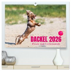 DACKEL 2026 Frech und Liebenwert (hochwertiger Premium Wandkalender 2026 DIN A2 quer), Kunstdruck in Hochglanz