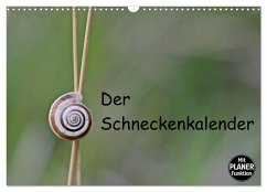 Cover Der Schneckenkalender (Wandkalender 2026 DIN A3 quer), CALVENDO Monatskalender