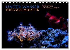 UNTER WASSER Riffaquaristik (Wandkalender 2026 DIN A3 quer), CALVENDO Monatskalender UNTER WASSER Riffaquaristik (Wandkalender 2026 DIN A3 quer), CALVENDO Monatskalender
