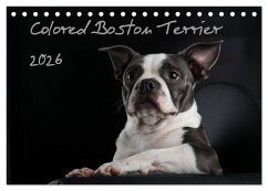 Colored Boston Terrier 2026 (Tischkalender 2026 DIN A5 quer), CALVENDO Monatskalender Colored Boston Terrier 2026 (Tischkalender 2026 DIN A5 quer), CALVENDO Monatskalender