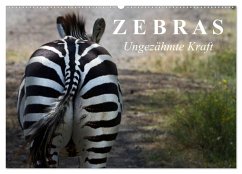 Cover Zebras - Ungezähmte Kraft (Wandkalender 2026 DIN A2 quer), CALVENDO Monatskalender