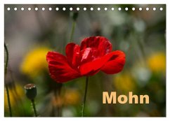 Mohn (Tischkalender 2026 DIN A5 quer), CALVENDO Monatskalender Cover Mohn (Tischkalender 2026 DIN A5 quer), CALVENDO Monatskalender