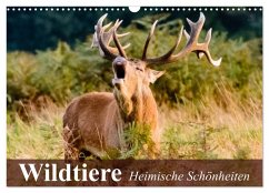 Cover Wildtiere. Heimische Schönheiten (Wandkalender 2026 DIN A3 quer), CALVENDO Monatskalender