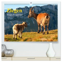 Cover Ziegen. Kluge Freigeister (hochwertiger Premium Wandkalender 2026 DIN A2 quer), Kunstdruck in Hochglanz