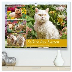 Cover Selkirk Rex Katzen. Lockenzauber im Blumengarten (hochwertiger Premium Wandkalender 2026 DIN A2 quer), Kunstdruck in Hochglanz