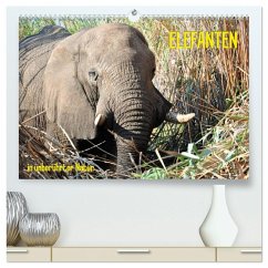ELEFANTEN IN UNBERÜHRTER NATUR (hochwertiger Premium Wandkalender 2026 DIN A2 quer), Kunstdruck in Hochglanz ELEFANTEN IN UNBERÜHRTER NATUR (hochwertiger Premium Wandkalender 2026 DIN A2 quer), Kunstdruck in Hochglanz