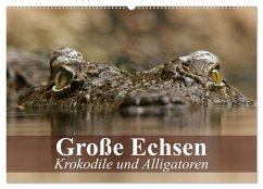 Große Echsen. Krokodile und Alligatoren (Wandkalender 2026 DIN A2 quer), CALVENDO Monatskalender - Calvendo;Stanzer, Elisabeth