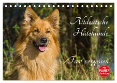 Cover Altdeutsche Hütehunde - Fast vergessen (Tischkalender 2026 DIN A5 quer), CALVENDO Monatskalender