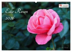 Edle Rosen (Wandkalender 2026 DIN A2 quer), CALVENDO Monatskalender Edle Rosen (Wandkalender 2026 DIN A2 quer), CALVENDO Monatskalender