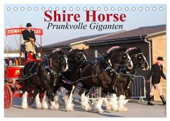 Cover Shire Horse ¿ Prunkvolle Giganten (Tischkalender 2026 DIN A5 quer), CALVENDO Monatskalender