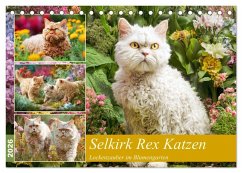 Cover Selkirk Rex Katzen. Lockenzauber im Blumengarten (Tischkalender 2026 DIN A5 quer), CALVENDO Monatskalender