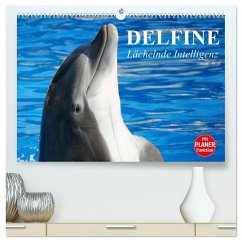 Cover Delfine - Lächelnde Intelligenz (hochwertiger Premium Wandkalender 2026 DIN A2 quer), Kunstdruck in Hochglanz