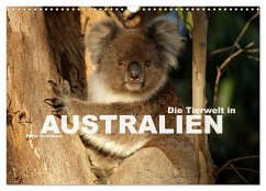 Die Tierwelt in Australien (Wandkalender 2026 DIN A3 quer), CALVENDO Monatskalender Die Tierwelt in Australien (Wandkalender 2026 DIN A3 quer), CALVENDO Monatskalender