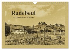Cover Radebeul - Ein Kalender im Zeitungsstil (Wandkalender 2026 DIN A4 quer), CALVENDO Monatskalender