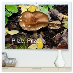 Pilze, Pilze (hochwertiger Premium Wandkalender 2026 DIN A2 quer), Kunstdruck in Hochglanz Pilze, Pilze (hochwertiger Premium Wandkalender 2026 DIN A2 quer), Kunstdruck in Hochglanz