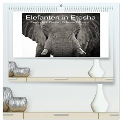 Elefanten in Etosha (hochwertiger Premium Wandkalender 2026 DIN A2 quer), Kunstdruck in Hochglanz Elefanten in Etosha (hochwertiger Premium Wandkalender 2026 DIN A2 quer), Kunstdruck in Hochglanz