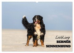 Cover Liebling BERNER SENNENHUND (Wandkalender 2026 DIN A2 quer), CALVENDO Monatskalender