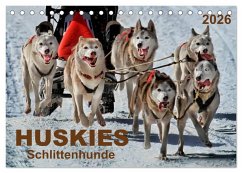 Huskies - Schlittenhunde (Tischkalender 2026 DIN A5 quer), CALVENDO Monatskalender