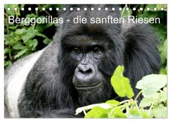Berggorillas - die sanften Riesen (Tischkalender 2026 DIN A5 quer), CALVENDO Monatskalender Berggorillas - die sanften Riesen (Tischkalender 2026 DIN A5 quer), CALVENDO Monatskalender