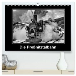 Die Preßnitztalbahn (hochwertiger Premium Wandkalender 2026 DIN A2 quer), Kunstdruck in Hochglanz