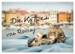 Die Katzen von Rovinj (Tischkalender 2026 DIN A5 quer), CALVENDO Monatskalender