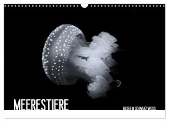 Meerestiere Bilder in Schwarz Weiss (Wandkalender 2026 DIN A3 quer), CALVENDO Monatskalender Meerestiere Bilder in Schwarz Weiss (Wandkalender 2026 DIN A3 quer), CALVENDO Monatskalender