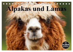Alpakas und Lamas (Tischkalender 2026 DIN A5 quer), CALVENDO Monatskalender Alpakas und Lamas (Tischkalender 2026 DIN A5 quer), CALVENDO Monatskalender