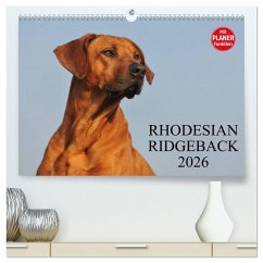 Rhodesian Ridgeback 2026 (hochwertiger Premium Wandkalender 2026 DIN A2 quer), Kunstdruck in Hochglanz