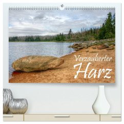Verzauberter Harz (hochwertiger Premium Wandkalender 2026 DIN A2 quer), Kunstdruck in Hochglanz Verzauberter Harz (hochwertiger Premium Wandkalender 2026 DIN A2 quer), Kunstdruck in Hochglanz