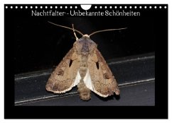 Nachtfalter - Unbekannte Schönheiten (Wandkalender 2026 DIN A4 quer), CALVENDO Monatskalender Cover Nachtfalter - Unbekannte Schönheiten (Wandkalender 2026 DIN A4 quer), CALVENDO Monatskalender