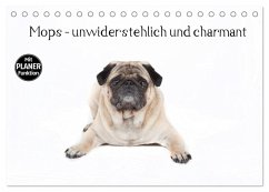 Mops - unwiderstehlich und charmant (Tischkalender 2026 DIN A5 quer), CALVENDO Monatskalender