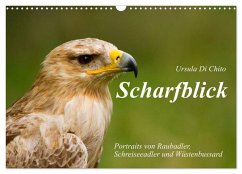 Cover Scharfblick (Wandkalender 2026 DIN A3 quer), CALVENDO Monatskalender