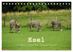 Esel - liebenswerte Langohren (Tischkalender 2026 DIN A5 quer), CALVENDO Monatskalender