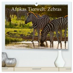 Cover Afrikas Tierwelt: Zebras (hochwertiger Premium Wandkalender 2026 DIN A2 quer), Kunstdruck in Hochglanz
