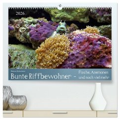 Bunte Riffbewohner - Fische, Anemonen und noch viel mehr (hochwertiger Premium Wandkalender 2026 DIN A2 quer), Kunstdruck in Hochglanz