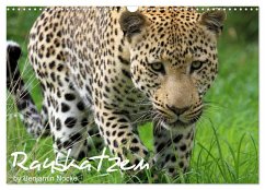 Cover Raubkatzen (Wandkalender 2026 DIN A3 quer), CALVENDO Monatskalender