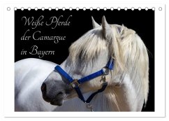 Weiße Pferde der Camargue in Bayern (Tischkalender 2026 DIN A5 quer), CALVENDO Monatskalender