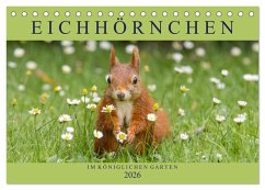 Eichhörnchen im Königlichen Garten (Tischkalender 2026 DIN A5 quer), CALVENDO Monatskalender Eichhörnchen im Königlichen Garten (Tischkalender 2026 DIN A5 quer), CALVENDO Monatskalender