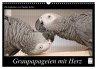 Graupapageien mit Herz (Wandkalender... - Bild 1