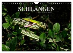 Cover Schlangen (Wandkalender 2026 DIN A4 quer), CALVENDO Monatskalender