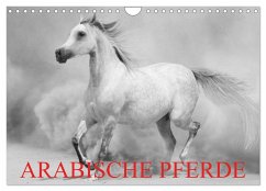 Cover Arabische Pferde (Wandkalender 2026 DIN A4 quer), CALVENDO Monatskalender