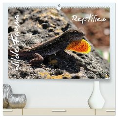 Cover Wilde Fauna - Reptilien (hochwertiger Premium Wandkalender 2026 DIN A2 quer), Kunstdruck in Hochglanz
