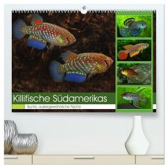 Cover Killifische Südamerikas (hochwertiger Premium Wandkalender 2026 DIN A2 quer), Kunstdruck in Hochglanz