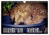 Meine Igel (Wandkalender 2026 DIN A4... - Bild 1