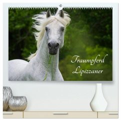 Cover Traumpferd Lipizzaner (hochwertiger Premium Wandkalender 2026 DIN A2 quer), Kunstdruck in Hochglanz