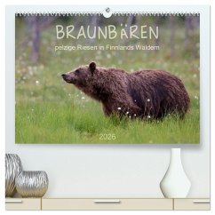 Braunbären - pelzige Riesen in Finnlands Wäldern (hochwertiger Premium Wandkalender 2026 DIN A2 quer), Kunstdruck in Hochglanz