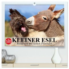 Kleiner Esel. Boldewyn mit seinen Freunden (hochwertiger Premium Wandkalender 2026 DIN A2 quer), Kunstdruck in Hochglanz